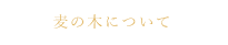 ABOUT MUGINOKI